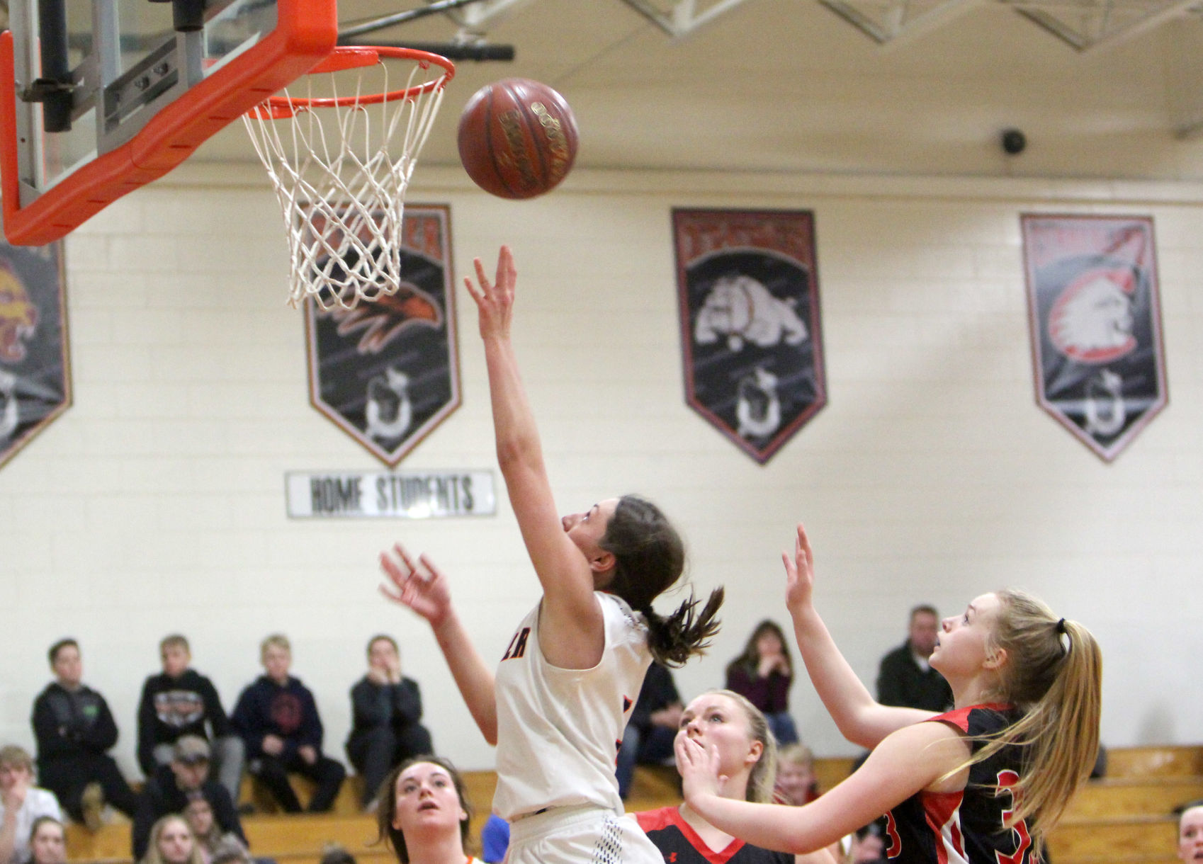 Baldwin-Woodville at Bloomer girls basketball 2-22-19